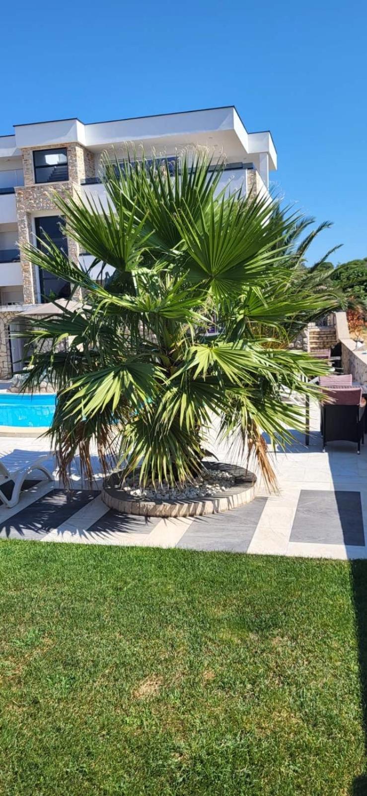 Apartments Albatross Novalja Exterior photo